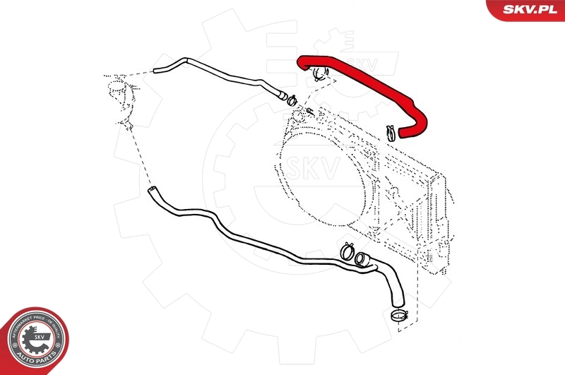 Radiator Hose
